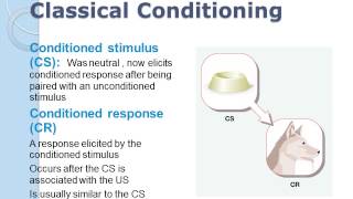 Learning classical conditioning [upl. by Avert]