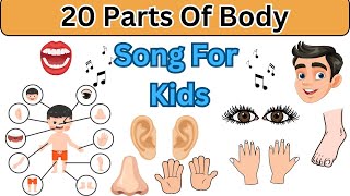 quotLearn Body Parts with Song  Educational Video for Kidsquot [upl. by Delogu715]