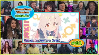 Onimai Im Now Your Sister Full Episode 01 Reaction Mashup [upl. by Alexa798]