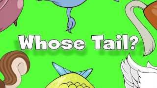 Whose Tail  Learn Animals Song for Kids [upl. by Ynahirb]