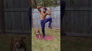 How To Get SHREDDED Abs At Home shorts [upl. by Aniehs]