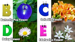 Flowers ABC Song for Kids  Phonics for Kids  English Alphabet Letters [upl. by Eirac]