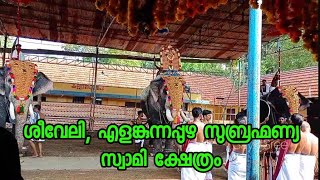 Elamkunnapuzha Subramania Swami temple festival 3rd day seeveli thidambu  Pallatt Brahmadathan [upl. by Hanley298]