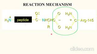 Carboxypeptidase Enzyme Catalysis [upl. by Schwing]