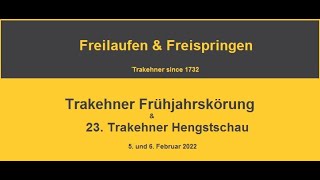 Trakehner Frühjahrskörung 2022  Freilaufen und Freispringen [upl. by Anan800]