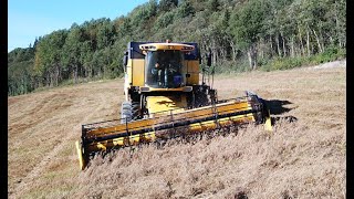 New Holland CSX 7060  Out Harvesting  Trøsking Part 1 [upl. by Harewood526]