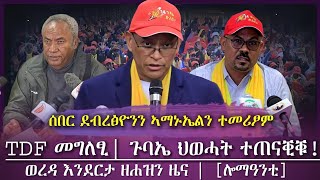 ሰበር ደብረፅዮንን ኣማኑኤልን ተመሪፆም፣TDF መግለፂ ኣውፂኡ፣መነመን ተመሪፆም መዘራረቢ መረፃ ተካይዱ tigray news [upl. by Nannahs637]