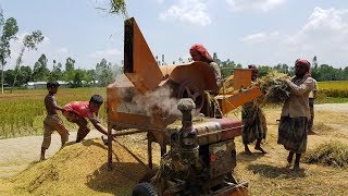 Amazing Paddy Thresher Machine in Village  Rice Harvester [upl. by Eelyahs]