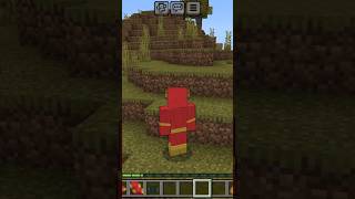 Minecraft flash [upl. by Pollie]