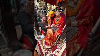 Living Goddess Kumari of Nepal amazingfacts kumari nepaliculture shorts [upl. by Melburn]