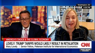 Mary Lovely on the cost of the Trump tariffs [upl. by Ahtenek104]