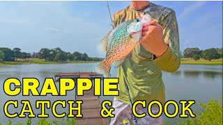 GIANT Crappie Catch amp Cook  Crappie Fishing [upl. by Yenettirb820]