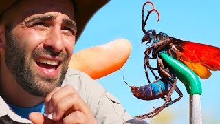 If Coyote Peterson Was Geordie [upl. by Aitercul]