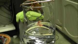 What Is A Catalyst Demo Of A Copper Catalyst amp Acetone [upl. by Galitea]