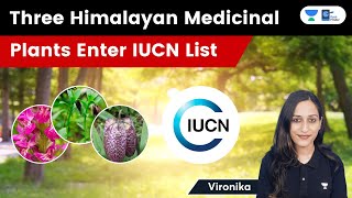 Three Himalayan Medicinal  Plants Enter IUCN List  Vironika [upl. by Ennalorac]