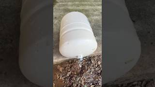 What happens when a water heater expansion tank fails plumbing [upl. by Tuttle]