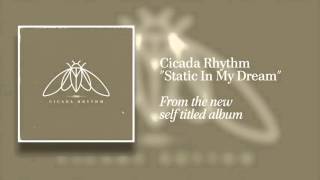 Cicada Rhythm  quotStatic In My Dreamquot Audio Only [upl. by Sadnac]