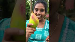 mango food fruit malayalam love klbrobijurithvik [upl. by Eikcor]