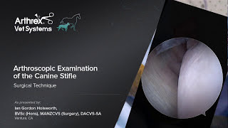 Arthroscopic Examination of the Canine Stifle [upl. by Craner]