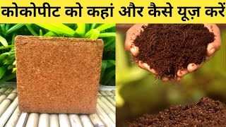 कोकोपीट का उपयोग कैसे करें। बीज को अंकुरित करना हुआ अब बहुत आसान। How to use cocopeat at home [upl. by Searcy]