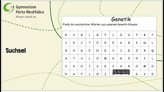 Suchsel  Tutorial  Digitale Häppchen  eigene Wortgitter erstellen [upl. by Sedlik]