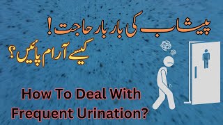 Urinary Frequency Causes Signs and Symptoms Diagnosis and Treatmentdoctor urineinfection [upl. by Toblat]