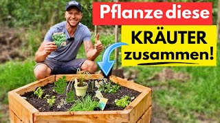 JEDER spricht darüber🌿So pflanzt du das ULTIMATIVE Kräuterbeet für Balkon amp Garten [upl. by Nyletak]