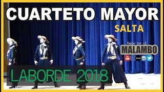 Laborde 2018 Cuarteto Mayor Salta  Festival Nacional del Malambo [upl. by Aitnauq]