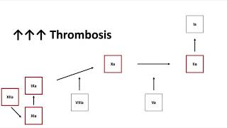 Antithrombin Deficiency [upl. by Ecertap]