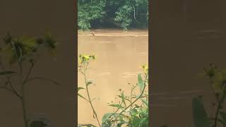 The Yadkin River [upl. by Goth]