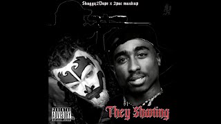 Shaggy 2 Dope x 2pac They Shooting x ICP Mashup [upl. by Ekihc]