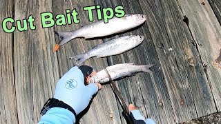 How to Cut Up Baitfish For More Redfish Snook Black Drum amp Tarpon [upl. by Lynde]