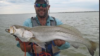 Speckled Trout fishing with Croaker Tips Tricks and Advice Trophy Trout Fishing [upl. by Jerold]