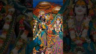 joy radhe radhe krishna govind bolo reðŸ™radhakrishnastatusradheradhe ðŸ™youtubeshortsytshot [upl. by Faires194]