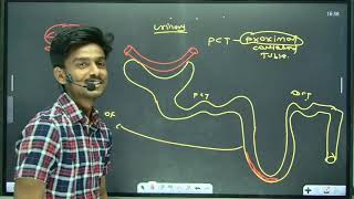 NEET  Class 11  Epithelial Tissue by Nilesh Sir [upl. by Churchill]