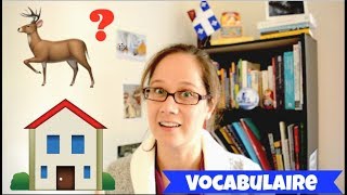 VISITE DUN APPARTEMENT QUÉBÉCOIS VOCABULAIRE [upl. by Oznol608]