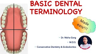 BASIC DENTAL TERMINOLOGY  TOOTH NOMENCLATURE  MADE EASY [upl. by Alisa]