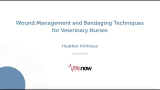 Wound Management and Bandaging Techniques for Veterinary Nurses [upl. by Irreg]