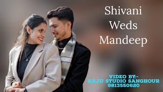 Shivani Weds Mandeep Wedding Live ByRaju Studio Sanghour 9813550620 [upl. by Lexi]