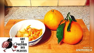 Cuisine recette facile et rapide Oranges confites [upl. by Roland]