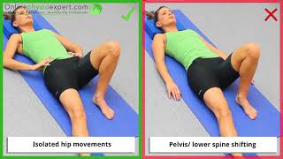 Hip Adductor Strengthening Exercise Tutorial Level 2  ONLINE PHYSIO EXERCISES [upl. by Leboff818]