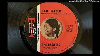 The Raelettes  Bad Water Tangerine 1970 [upl. by Plantagenet]