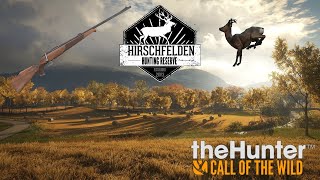 Cazando en HIRSCHFELDEN en thehuntercallofthewild gameplay [upl. by Foster120]