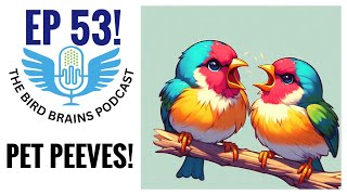 Pet Peeves and Bird Updates The Bird Brains Podcast EP 53 [upl. by Ulrich]