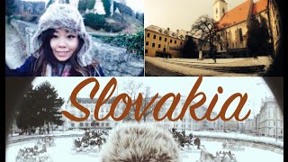 Vlog l Slovakia [upl. by Adams]