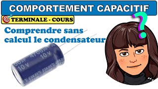 comportement CAPACITIF dun condensateur  expérience  PHYSIQUE  TERMINALE [upl. by Dlorej]