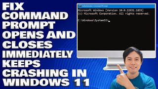 How To Fix Command Prompt Opens and Closes Immediately Keeps Crashing in Windows 1011 [upl. by Longawa]