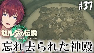 地上絵に関わる手がかりを求めて、忘れ去られた神殿【ゼルダの伝説 ティアーズオブザキングダム37】【VTuber喜羽水月】 [upl. by Ernst270]