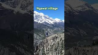 Ngawal village  ङवल गाउँ  beautiful ngawal village👌🙏❤ [upl. by Demeter19]