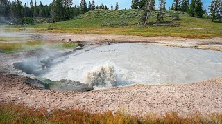 Mud Volcano trail in Yellowstone National Park [upl. by Beetner]